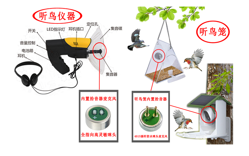 听鸟仪器、听鸟笼用麦克风（咪头）案例展示